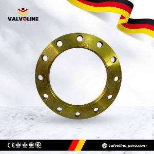 Brida Soldable PN16 Marca Citaly