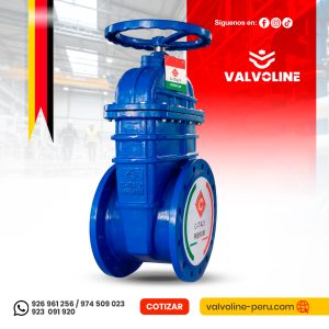 Válvula Compuerta Premium C-italy